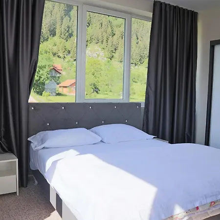 Lotus Hotel *